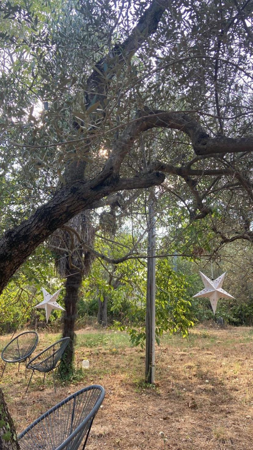 Bolsena Cento20 - Rooms & Relax Buitenkant foto